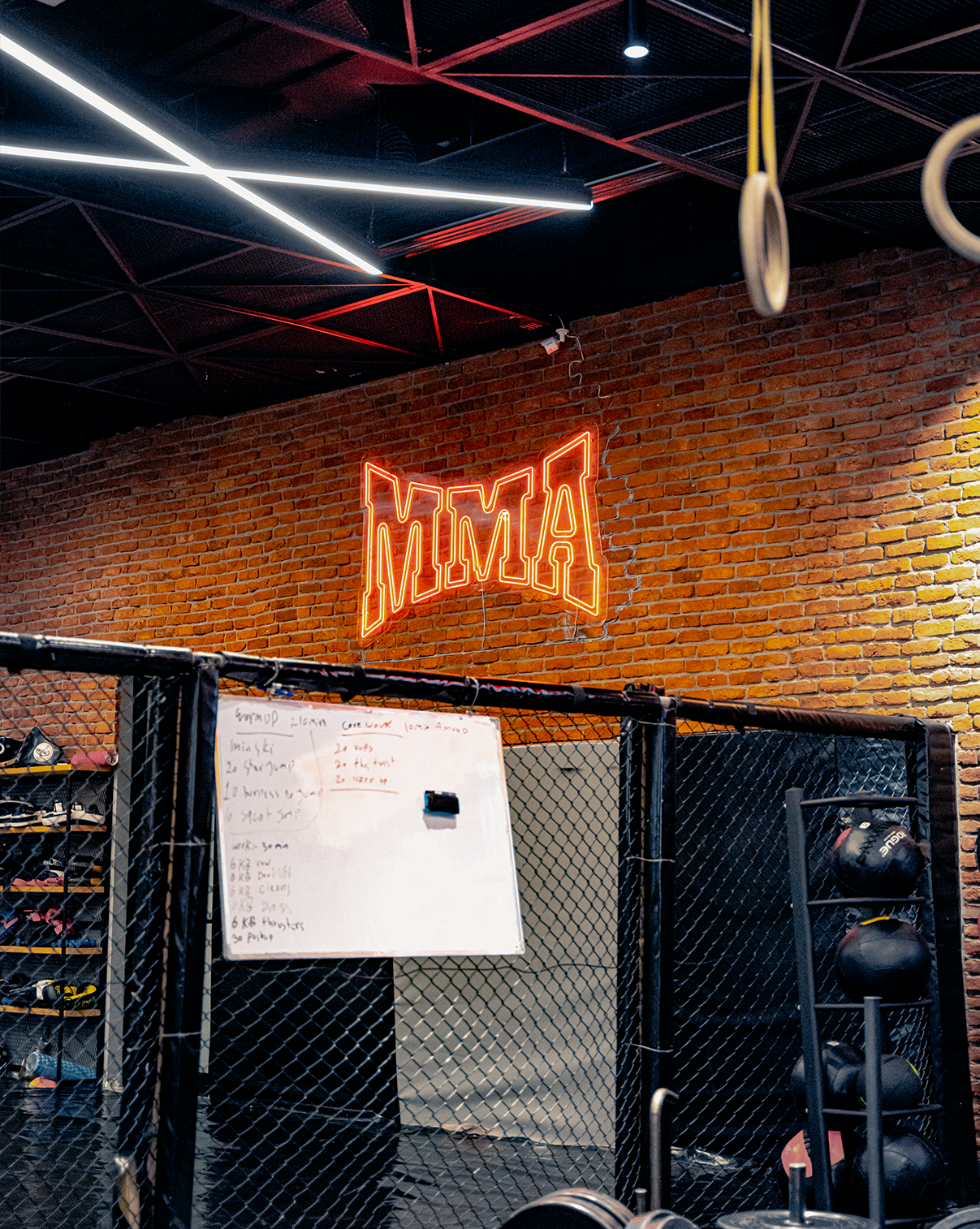 MMA & Martial Arts Arena